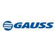 img-logo-gauss-motorcycle