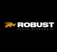 img-logo-robust-pneus